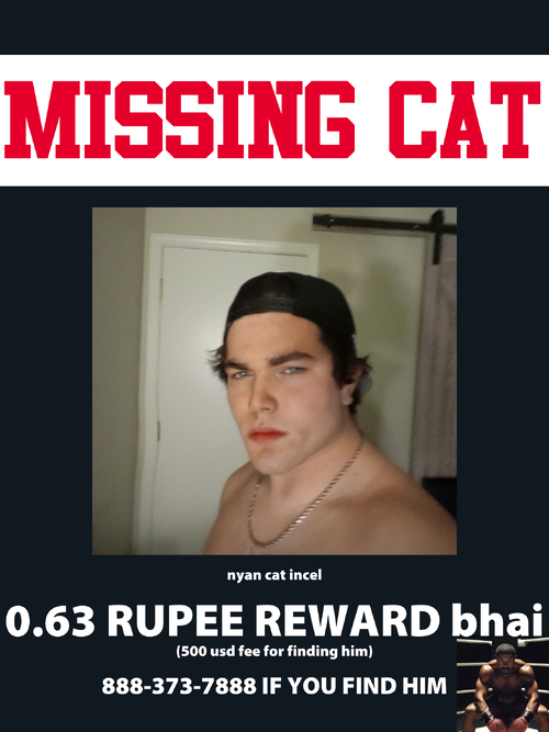 missing.png