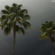 windaswitness