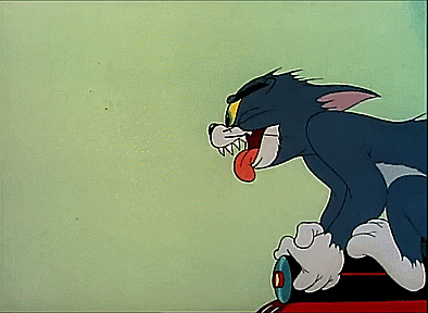 giphy.gif