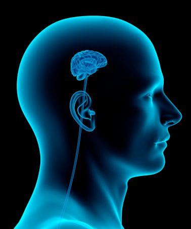 small brain Meme Generator