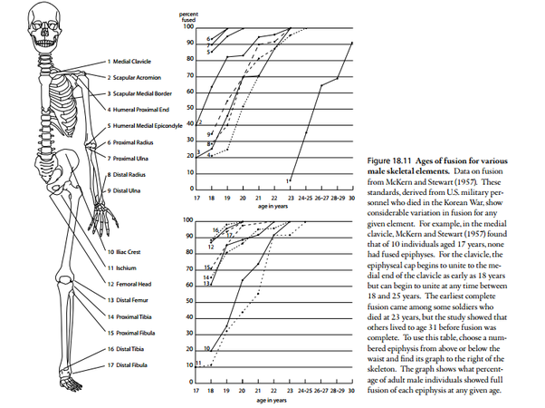 When do growth plates close in males? - Quora