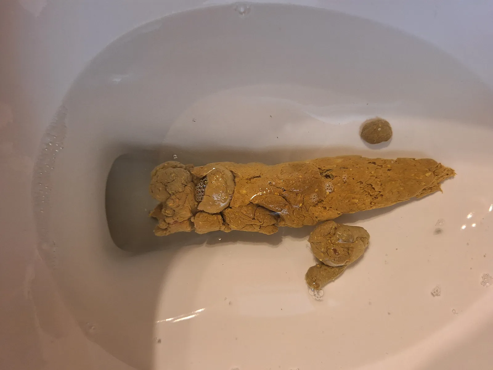 checkmypoo.com