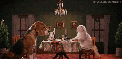 200.gif