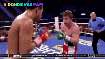 200.gif