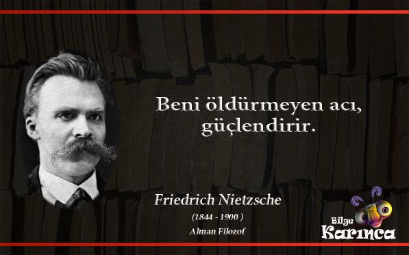 Bilge Karınca on X: Beni öldürmeyen acı,güçlendirir.(Friedrich Nietzsche)  http://t.co/A6Sy3LMvFq / X