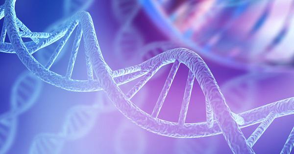 Células y ADN: MedlinePlus Genetics