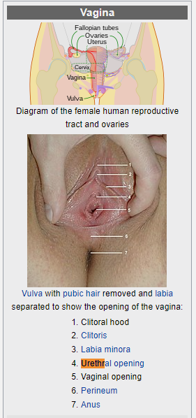 308d5bd6c664f9ad1dcd25871ca9a646.png
