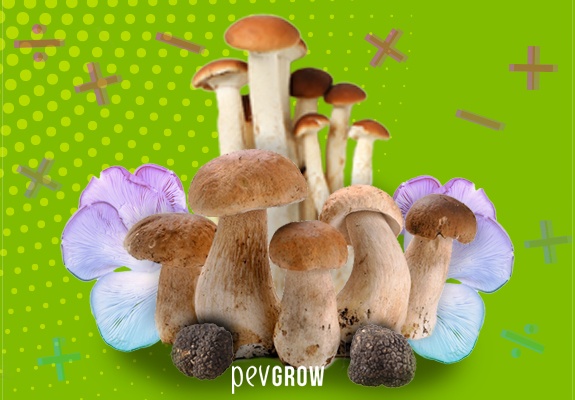 pevgrow.com