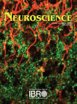 www.sciencedirect.com