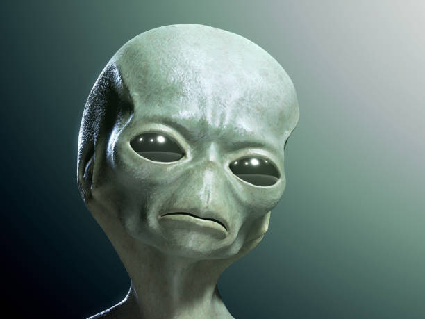 3706444_1697476144343.png