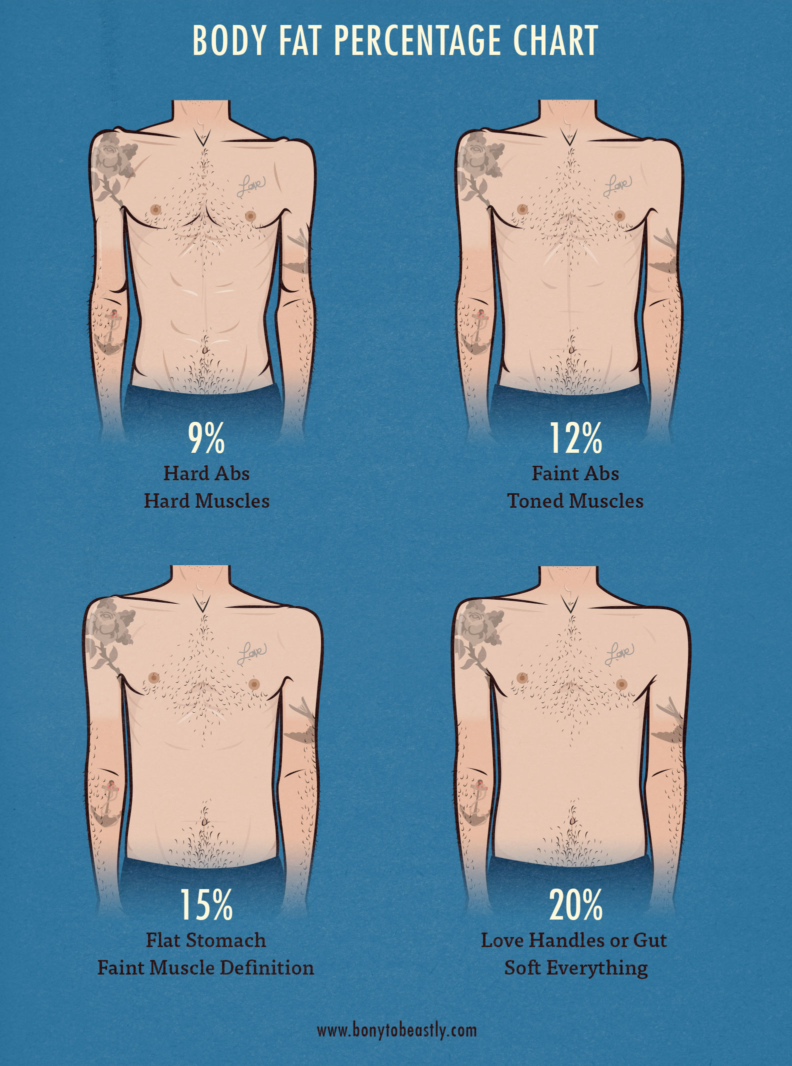 body-fat-percentage-chart-pictures-illustration-bony-to-beastly-1.jpg