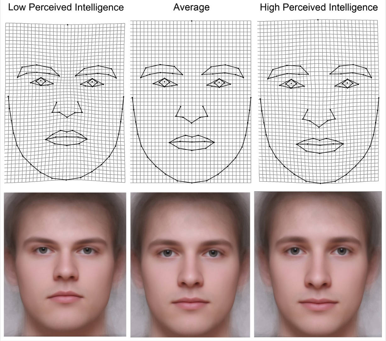 intelligence_large.jpg