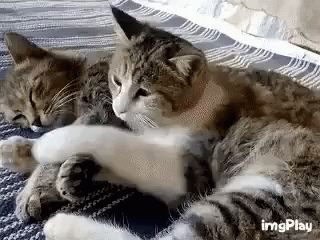 source.gif