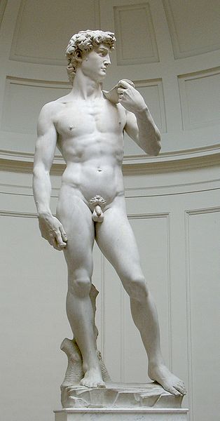 314px-David_von_Michelangelo.jpg