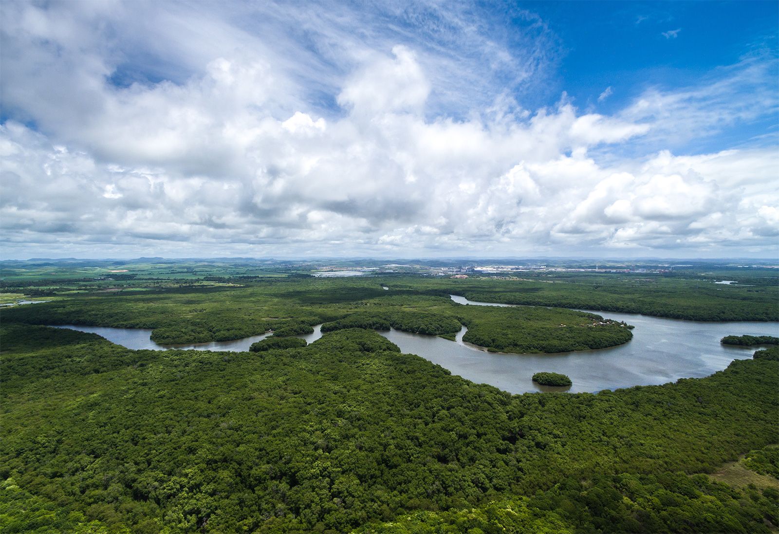 Amazon River Facts | Britannica
