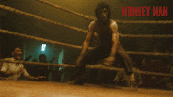 Jordan Peele Fight GIF by Monkey Man