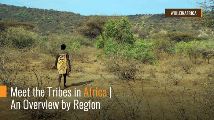 whileinafrica.com