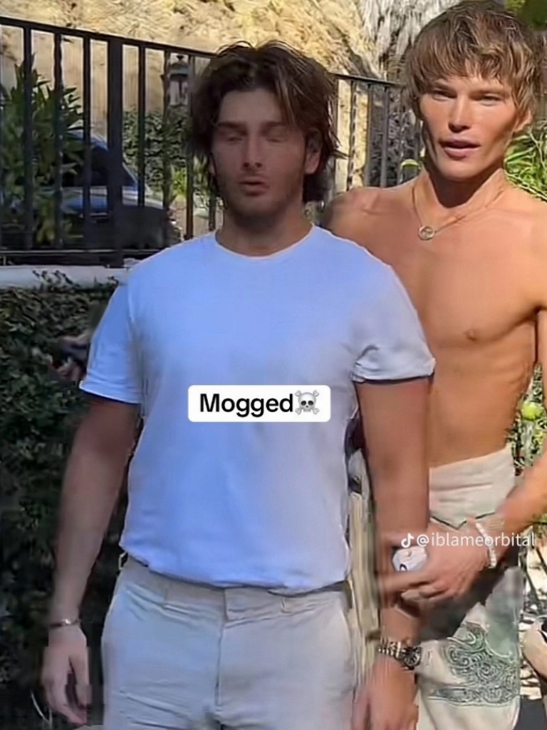 https://i.looksmax.org/attachments/2024/10/4464545_2024102023260797.jpg
