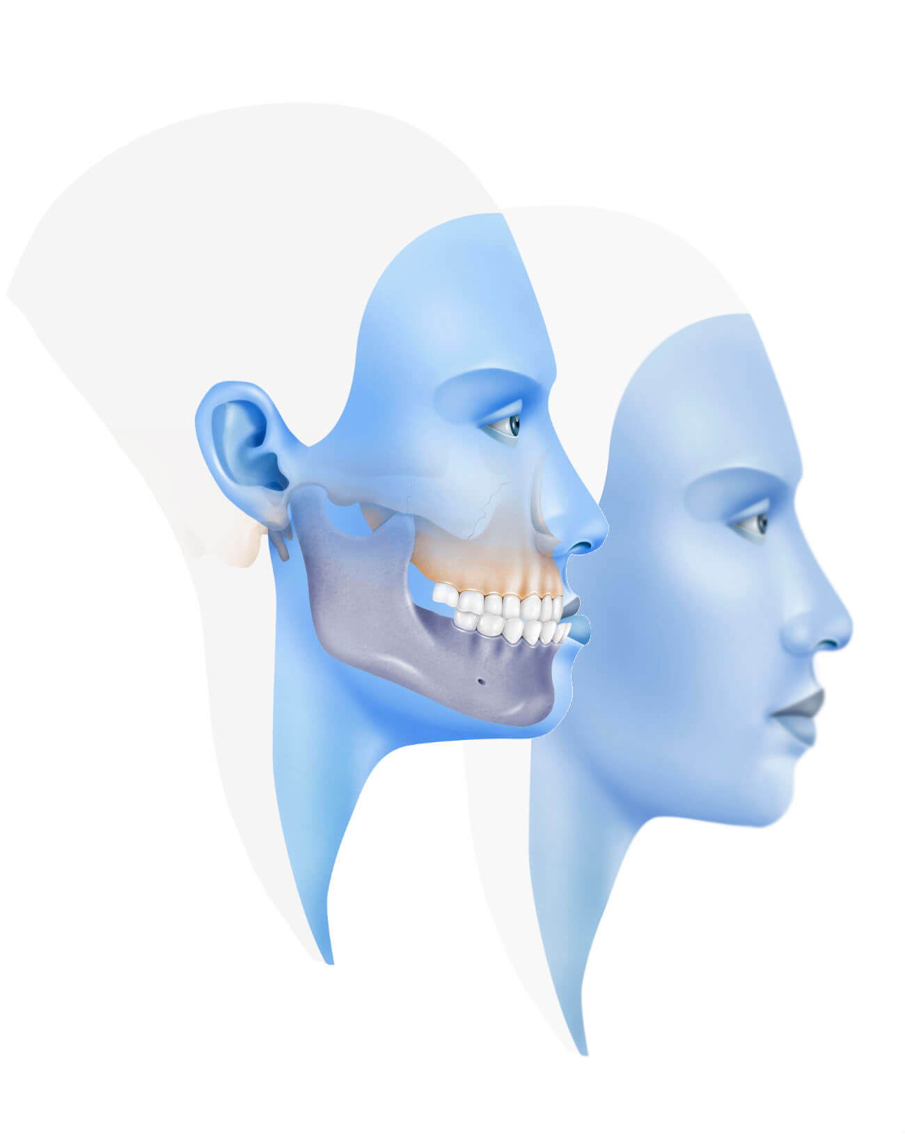 www.institutomaxilofacial.com