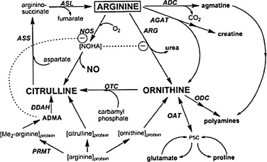 1-s2.0-S2090123210000573-gr1.jpg