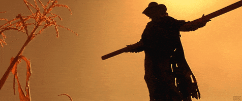 loop scarecrow GIF