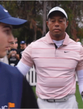 Tiger Tiger Woods GIF - Tiger Tiger woods Big dog - GIF'leri Keşfedin ...