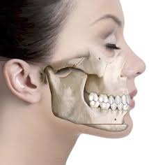 www.ortognaticaroma.it