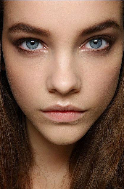 barbara-palvin-beauty-eyes-hair-Favim.com-531220.jpg