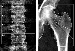 source.wustl.edu