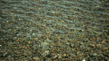 summer water GIF