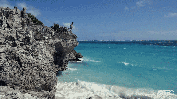 giphy.gif