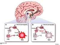 www.yourbrainonporn.com