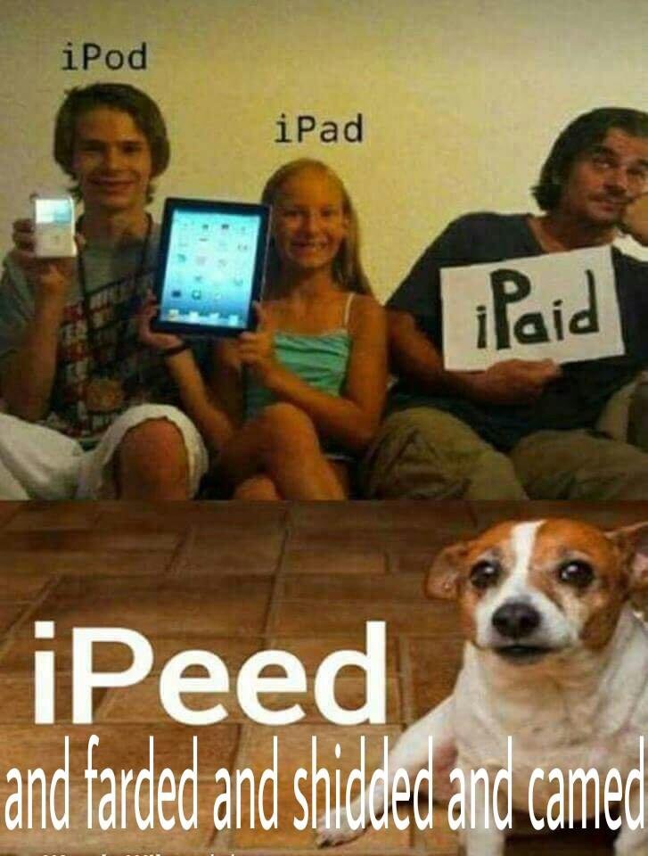 cd2.jpeg
