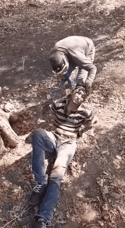 7z8cung4u89a1.gif