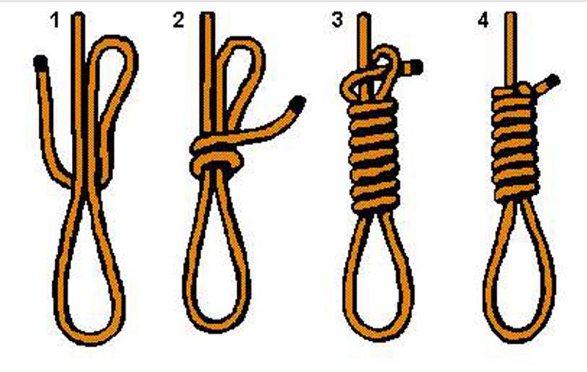 How to tie a noose: : coolguides