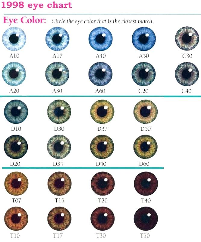 Eye Color Chart. #Eyes #EyeColors | Tegning af øjne, Øjne, Skrivning