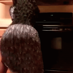 fc30e9238e2d9c0c0ca53c9b5410295d.gif