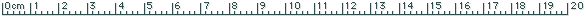 www.sizesurvey.com
