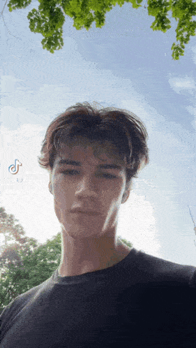 tenor.gif