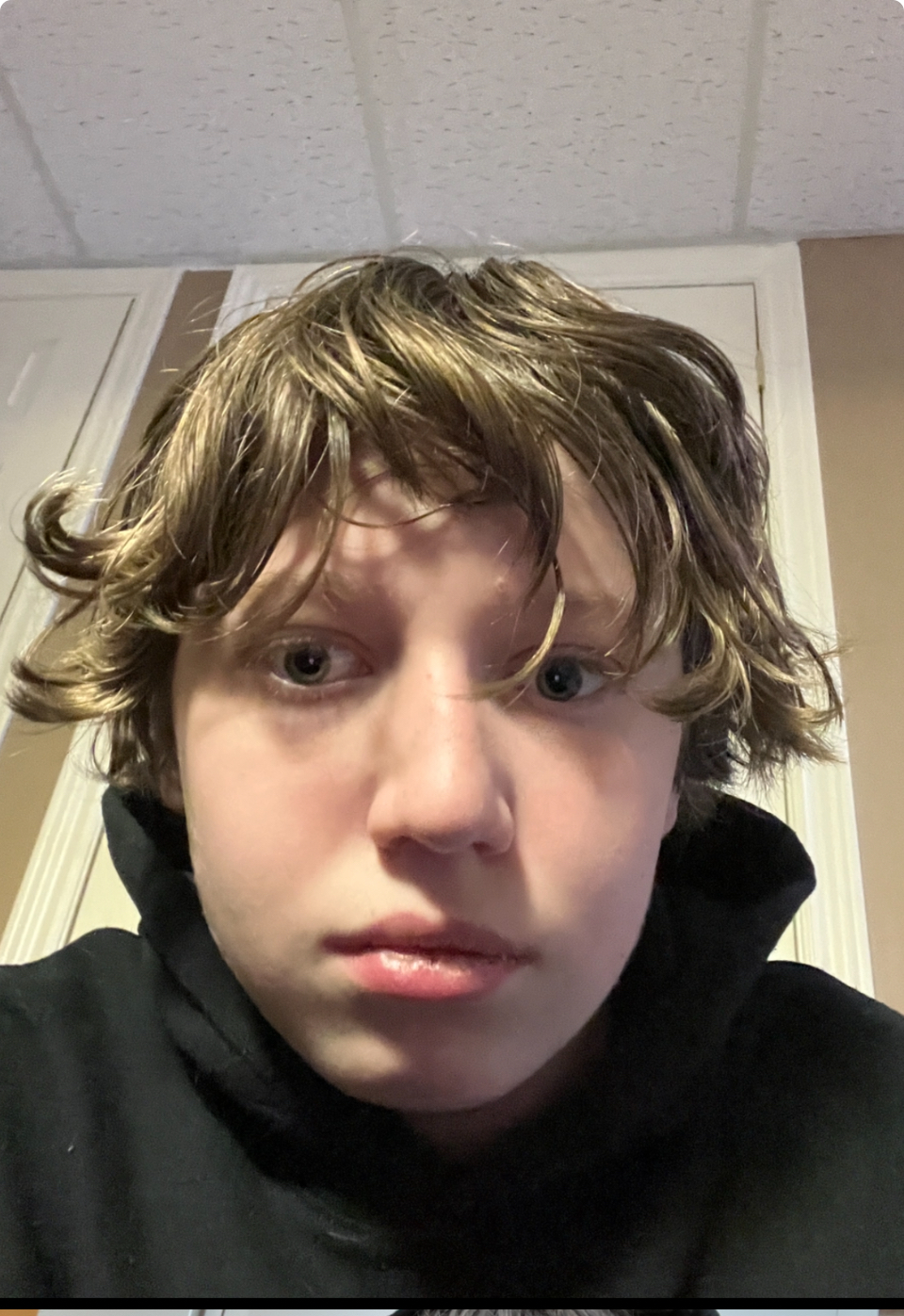 IMG 2979