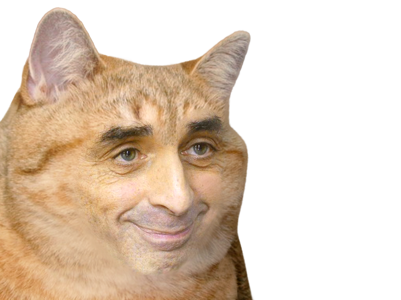 1559575664-chat-zemmour.png