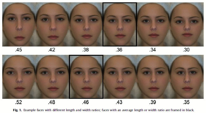 face-new-golden-ratio-variations.gif