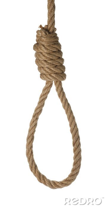 rope-noose-with-knot-isolated-on-white-700-261400060.jpg