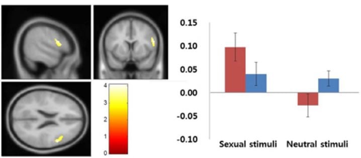 www.yourbrainonporn.com