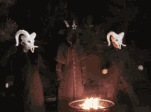 dance.gif