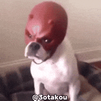 200.gif