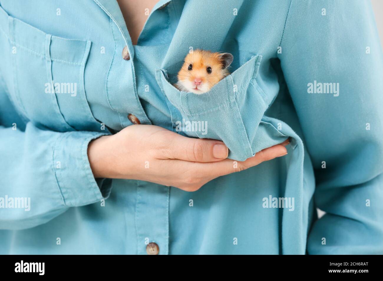 woman-with-funny-hamster-in-pocket-closeup-2CH6RAT.jpg