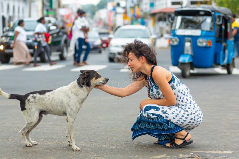 girl-communicates-stray-dog-street-pet-223515668.jpg