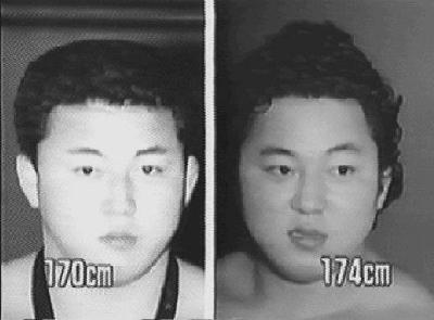 1994sumo02.png