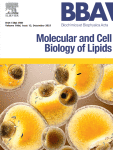 www.sciencedirect.com